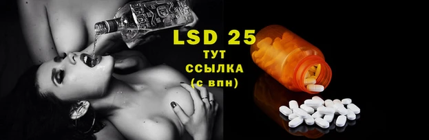 стафф Железноводск
