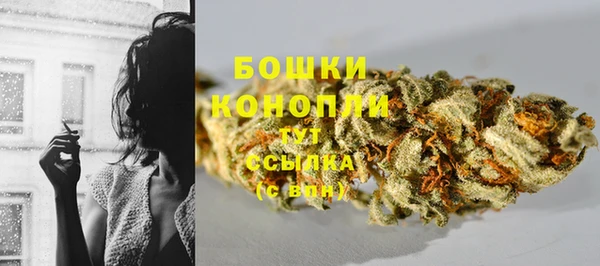 сатива Нефтегорск