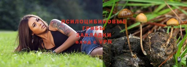 сатива Нефтегорск