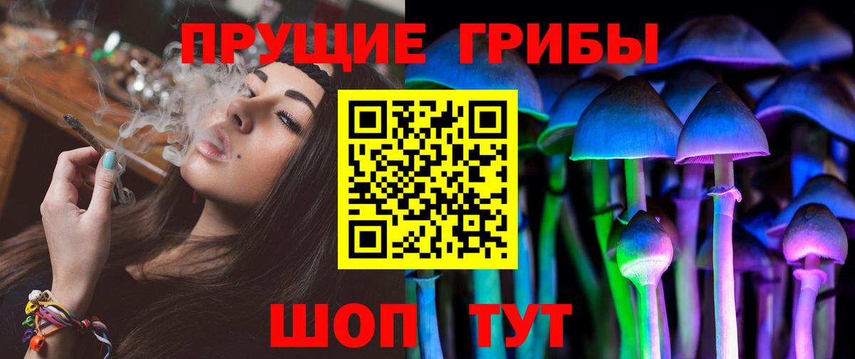 Псилоцибиновые грибы прущие грибы Каменск-Шахтинский