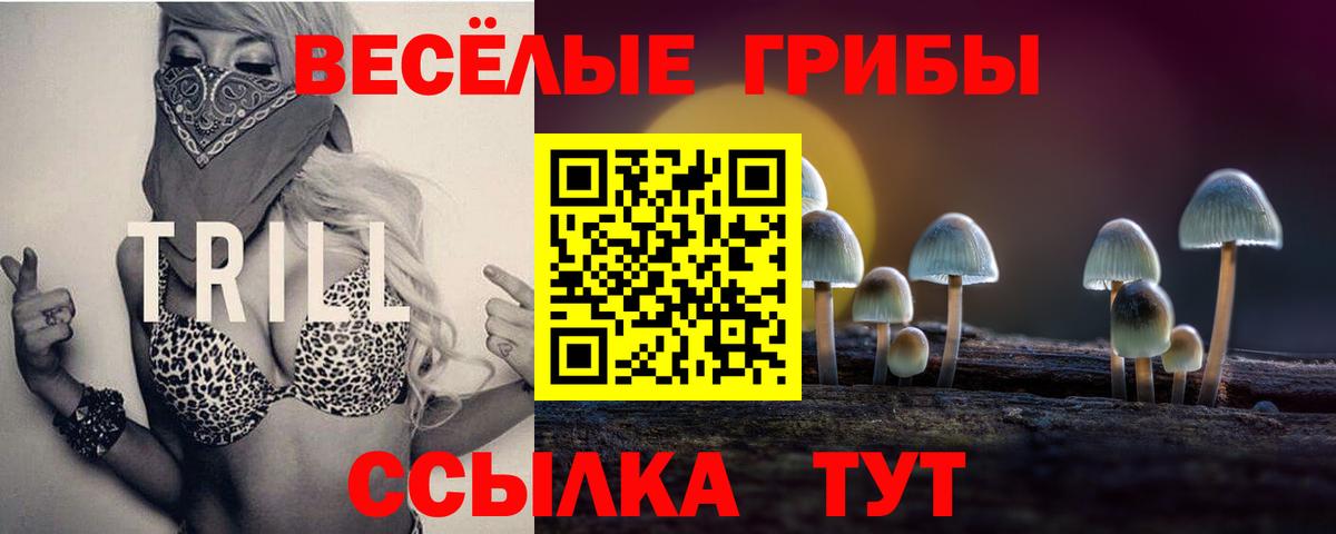 Галлюциногенные грибы MAGIC MUSHROOMS  Вход с VPN  Каменск-Шахтинский 